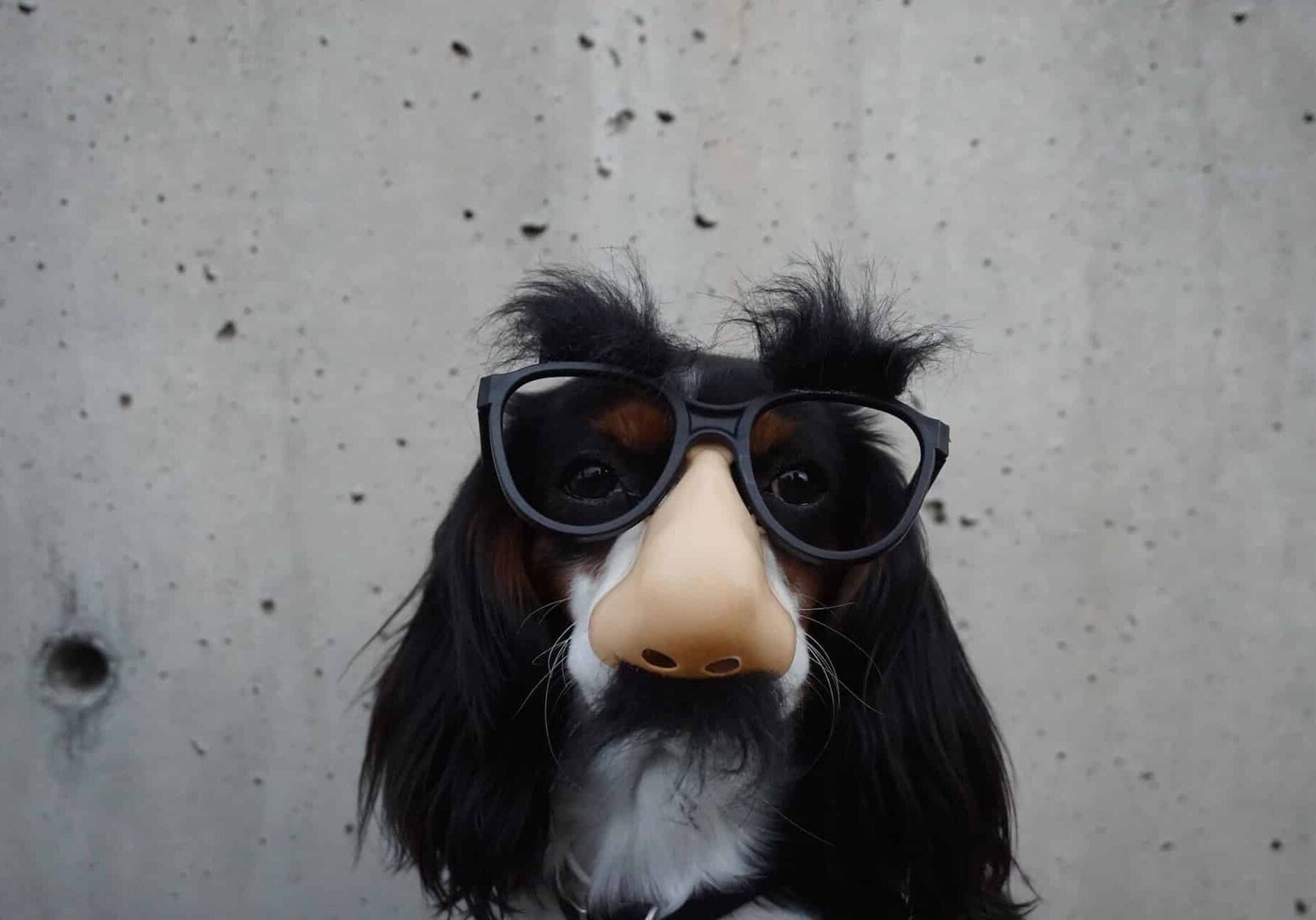 braydon-anderson-wOHH-NUTvVc-unsplash